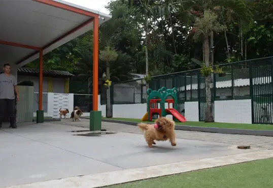 História